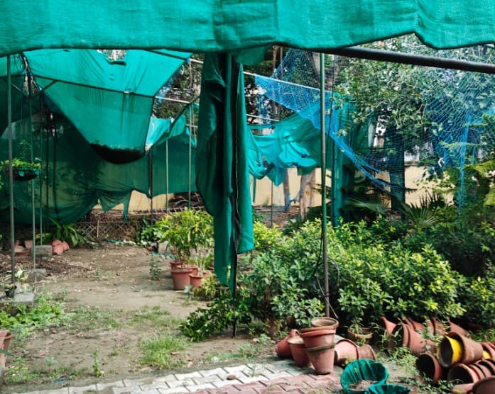 Shyam Lal College Campus photo 25